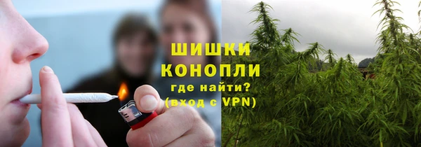 ГАЛЛЮЦИНОГЕННЫЕ ГРИБЫ Касимов