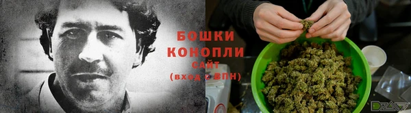 ГАЛЛЮЦИНОГЕННЫЕ ГРИБЫ Касимов