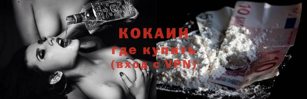 шишки Карталы