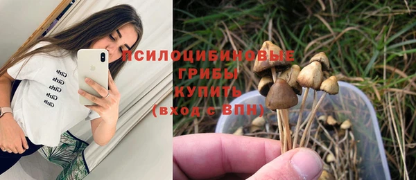 тгк Карпинск