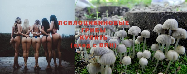 тгк Карпинск