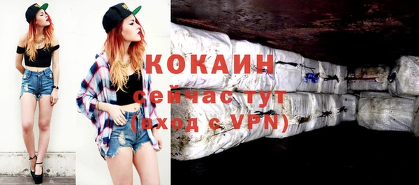 ГАЛЛЮЦИНОГЕННЫЕ ГРИБЫ Касимов